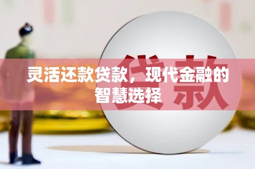 龙凤灵活还款贷款，现代金融的智慧选择