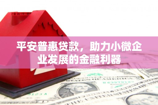 龙凤平安普惠贷款，助力小微企业发展的金融利器