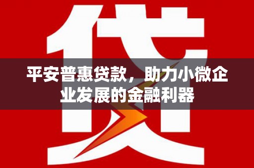 龙凤平安普惠贷款，助力小微企业发展的金融利器