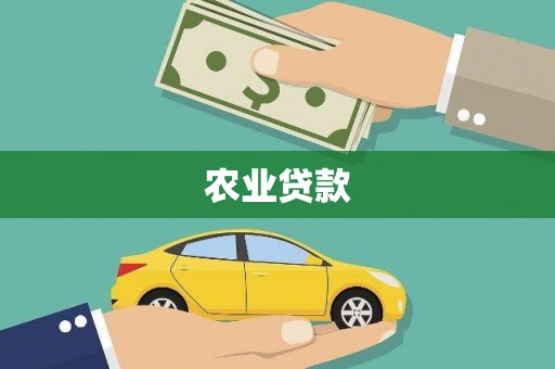 龙凤农业贷款