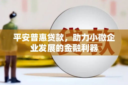 龙凤平安普惠贷款，助力小微企业发展的金融利器