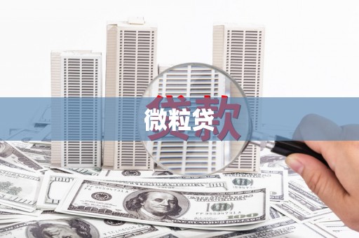 龙凤微粒贷