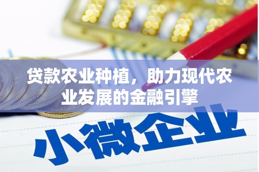 龙凤贷款农业种植，助力现代农业发展的金融引擎