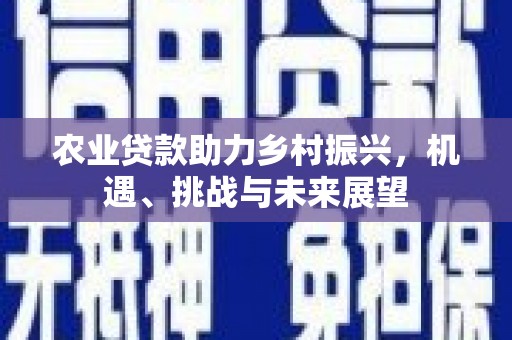 龙凤农业贷款助力乡村振兴，机遇、挑战与未来展望