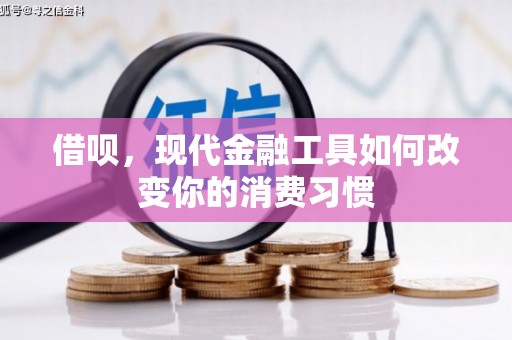 龙凤借呗，现代金融工具如何改变你的消费习惯