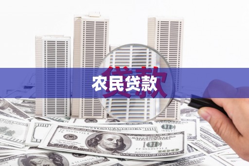 龙凤农民贷款