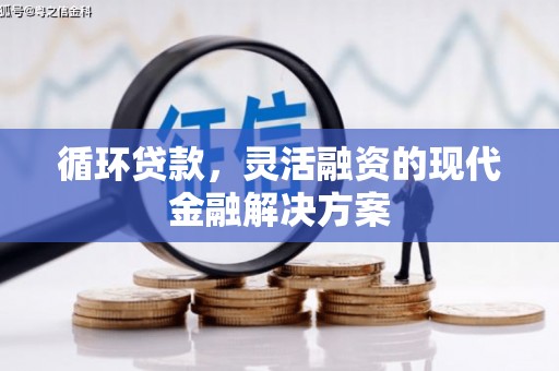 龙凤循环贷款，灵活融资的现代金融解决方案