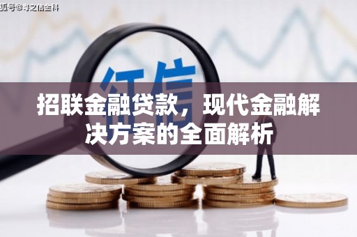龙凤招联金融贷款，现代金融解决方案的全面解析