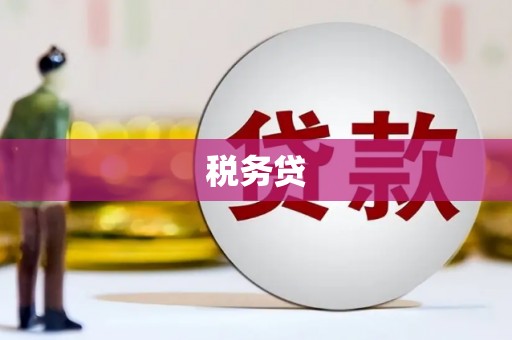 龙凤税务贷