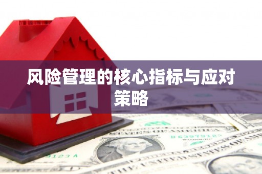 龙凤风险管理的核心指标与应对策略
