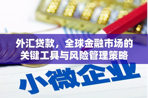 龙凤外汇贷款，全球金融市场的关键工具与风险管理策略
