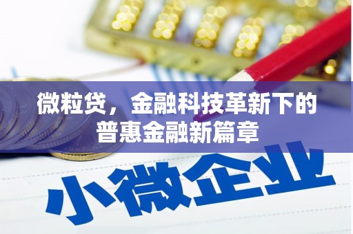 龙凤微粒贷，金融科技革新下的普惠金融新篇章
