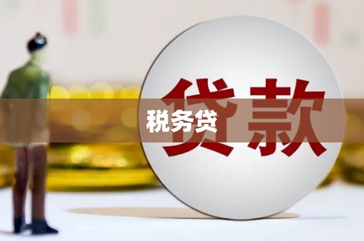 龙凤税务贷