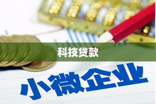 龙凤科技贷款