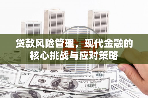 龙凤贷款风险管理，现代金融的核心挑战与应对策略