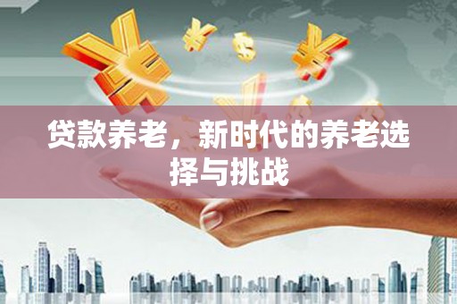 龙凤贷款养老，新时代的养老选择与挑战