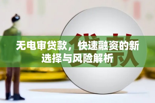 龙凤无电审贷款，快速融资的新选择与风险解析