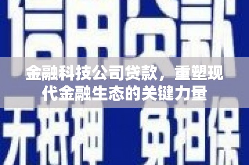 龙凤金融科技公司贷款，重塑现代金融生态的关键力量