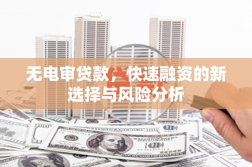 龙凤无电审贷款，快速融资的新选择与风险分析