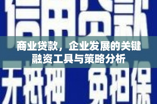 龙凤商业贷款，企业发展的关键融资工具与策略分析