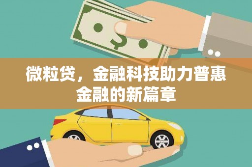 龙凤微粒贷，金融科技助力普惠金融的新篇章