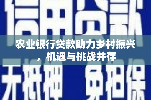 龙凤农业银行贷款助力乡村振兴，机遇与挑战并存