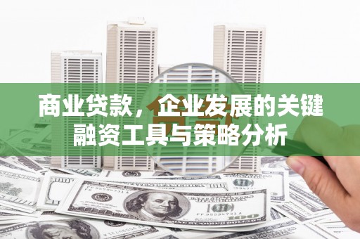 龙凤商业贷款，企业发展的关键融资工具与策略分析