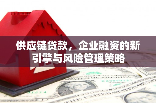 龙凤供应链贷款，企业融资的新引擎与风险管理策略