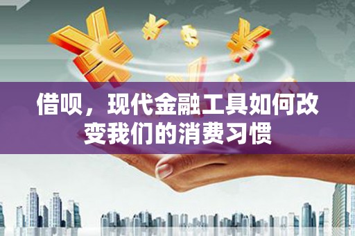 龙凤借呗，现代金融工具如何改变我们的消费习惯