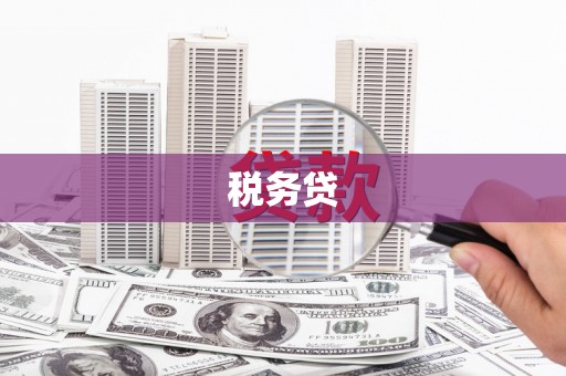 龙凤税务贷