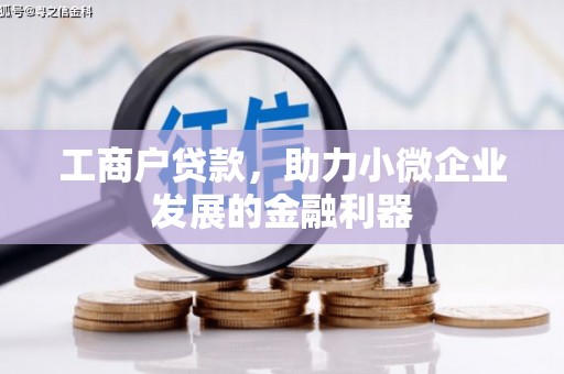 龙凤工商户贷款，助力小微企业发展的金融利器