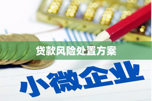 龙凤贷款风险处置方案