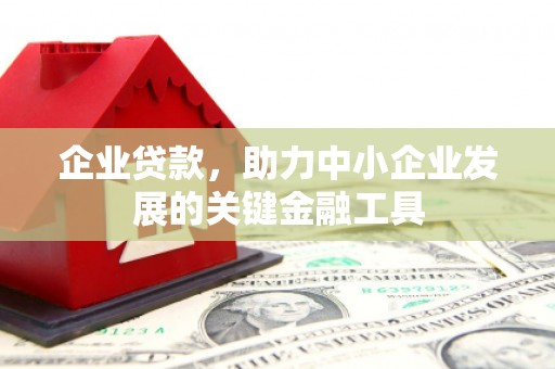 龙凤企业贷款，助力中小企业发展的关键金融工具