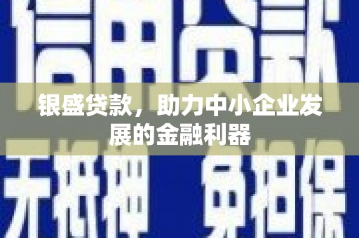 龙凤银盛贷款，助力中小企业发展的金融利器