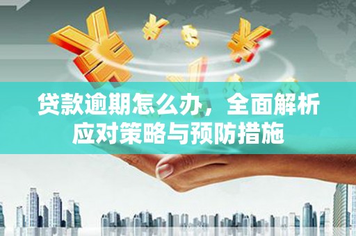龙凤贷款逾期怎么办，全面解析应对策略与预防措施