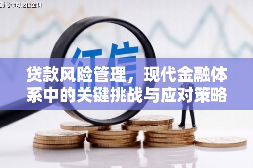 龙凤贷款风险管理，现代金融体系中的关键挑战与应对策略