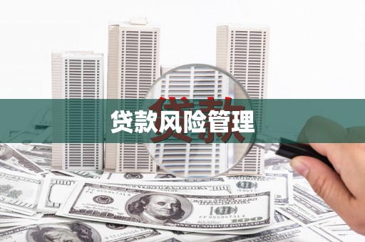 龙凤贷款风险管理