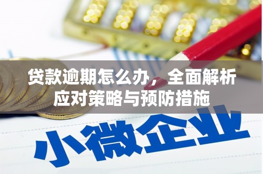 龙凤贷款逾期怎么办，全面解析应对策略与预防措施