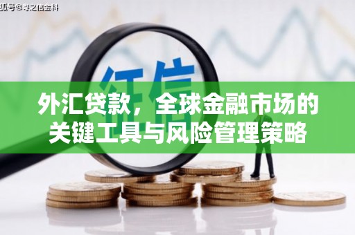 龙凤外汇贷款，全球金融市场的关键工具与风险管理策略