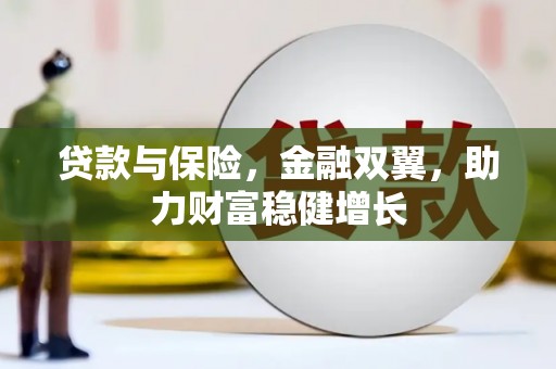 龙凤贷款与保险，金融双翼，助力财富稳健增长