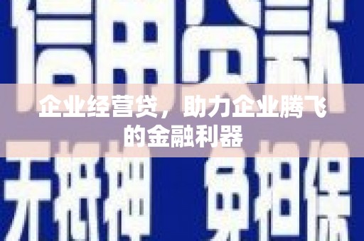 龙凤企业经营贷，助力企业腾飞的金融利器