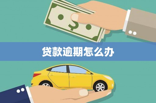 龙凤贷款逾期怎么办
