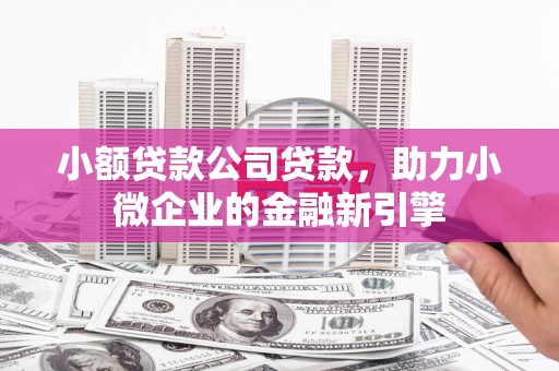 龙凤小额贷款公司贷款，助力小微企业的金融新引擎
