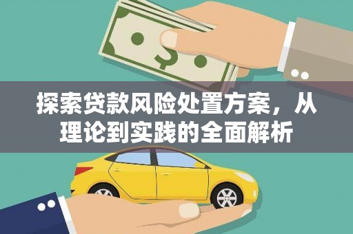 龙凤探索贷款风险处置方案，从理论到实践的全面解析