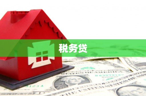 龙凤税务贷