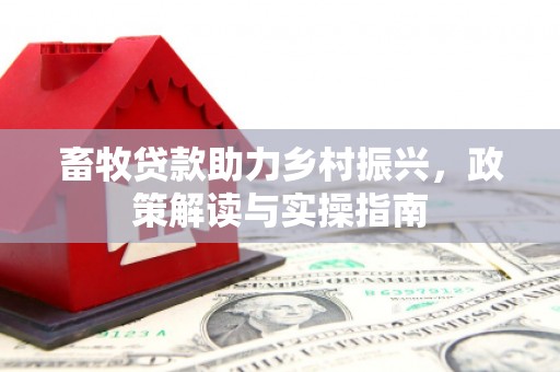 龙凤畜牧贷款助力乡村振兴，政策解读与实操指南
