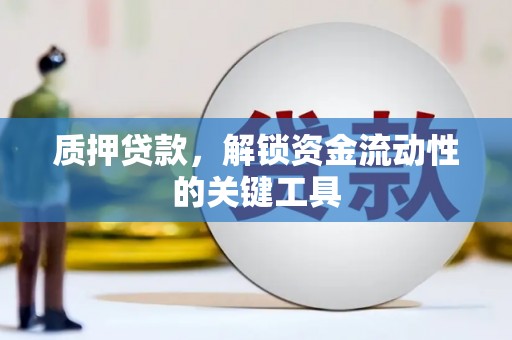 龙凤质押贷款，解锁资金流动性的关键工具