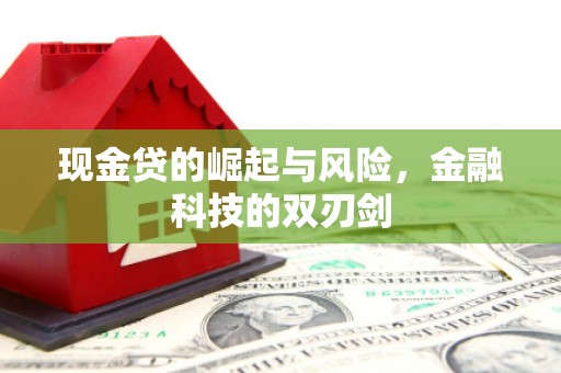 龙凤现金贷的崛起与风险，金融科技的双刃剑