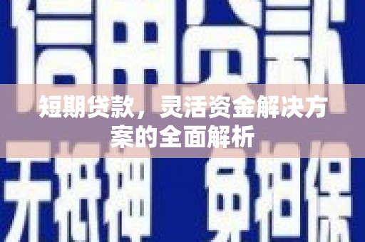 龙凤短期贷款，灵活资金解决方案的全面解析