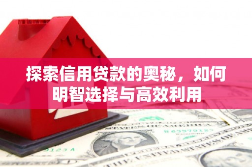 龙凤探索信用贷款的奥秘，如何明智选择与高效利用